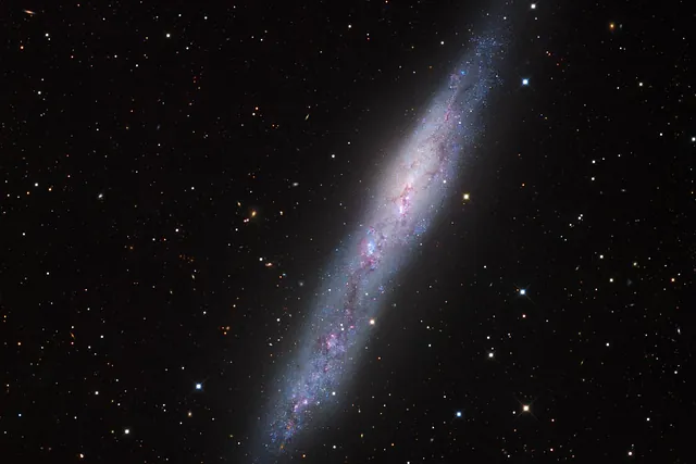 NGC 55